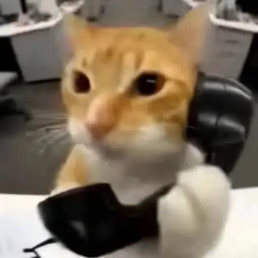 Moshi logo